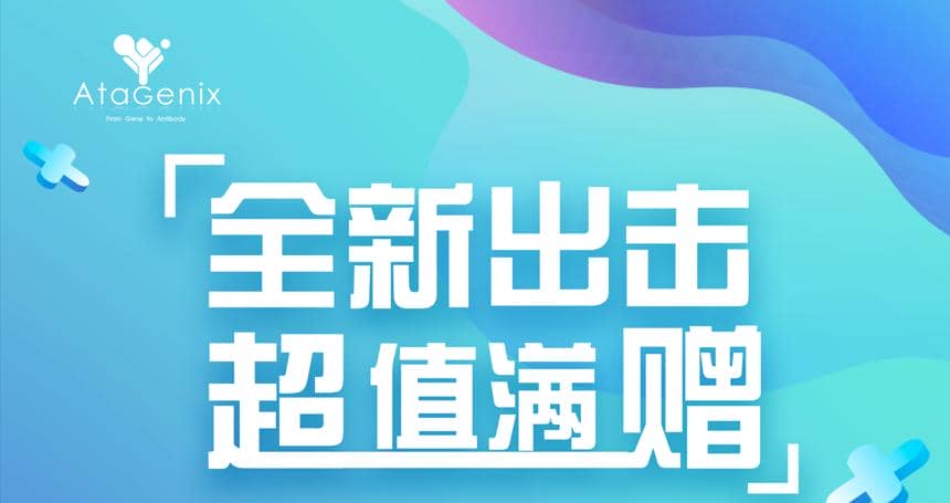 年底重磅 ▏下單即贈禮，滿額就加送~超多實用禮品等你來拿
