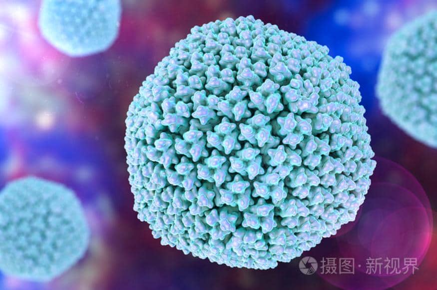 總被要求去內(nèi)毒，究竟是為什么？