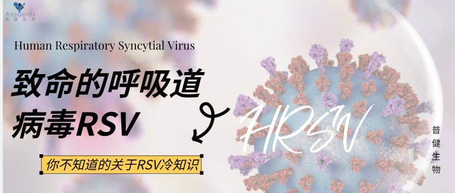 數(shù)十年研發(fā)幾經(jīng)折戟，首款成熟的RSV疫苗要來了嗎？