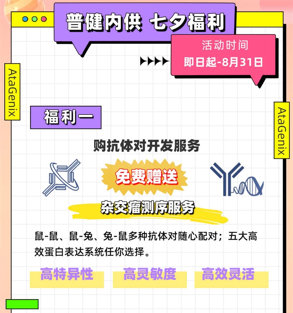愛在七夕，更在朝夕