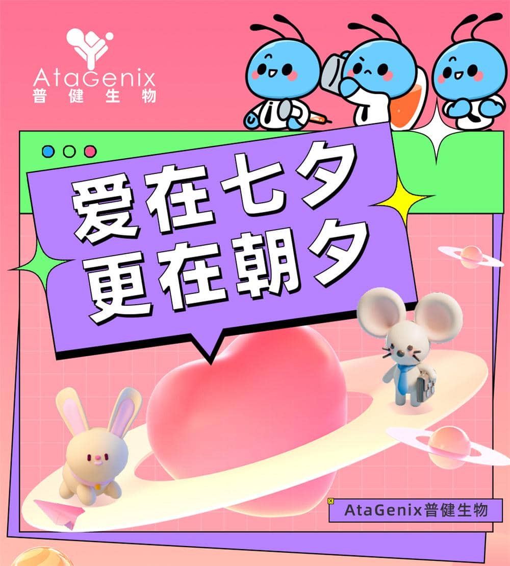 愛在七夕，更在朝夕