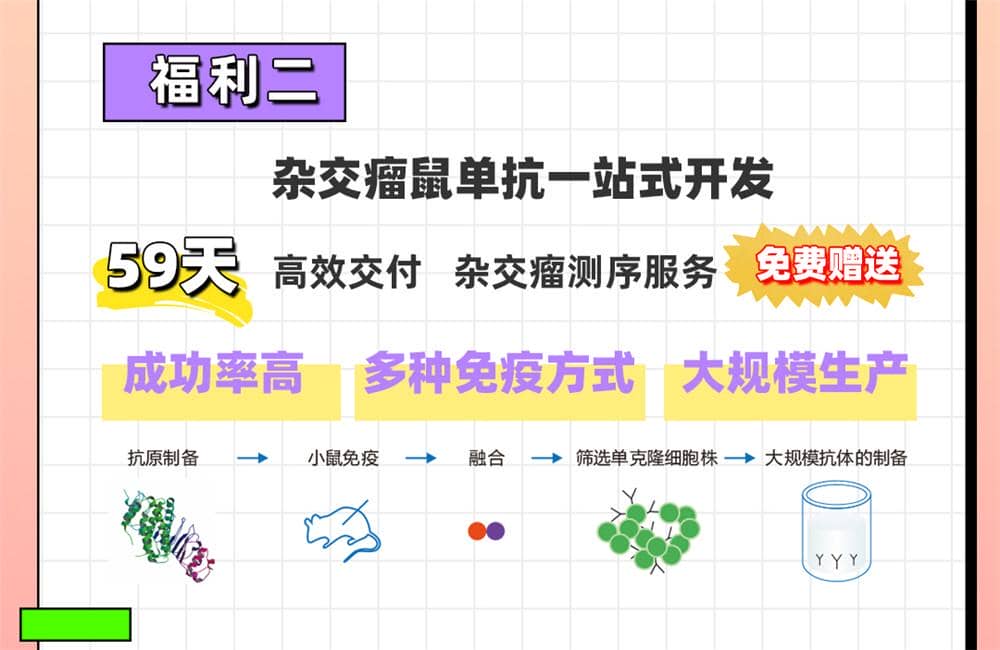 愛在七夕，更在朝夕