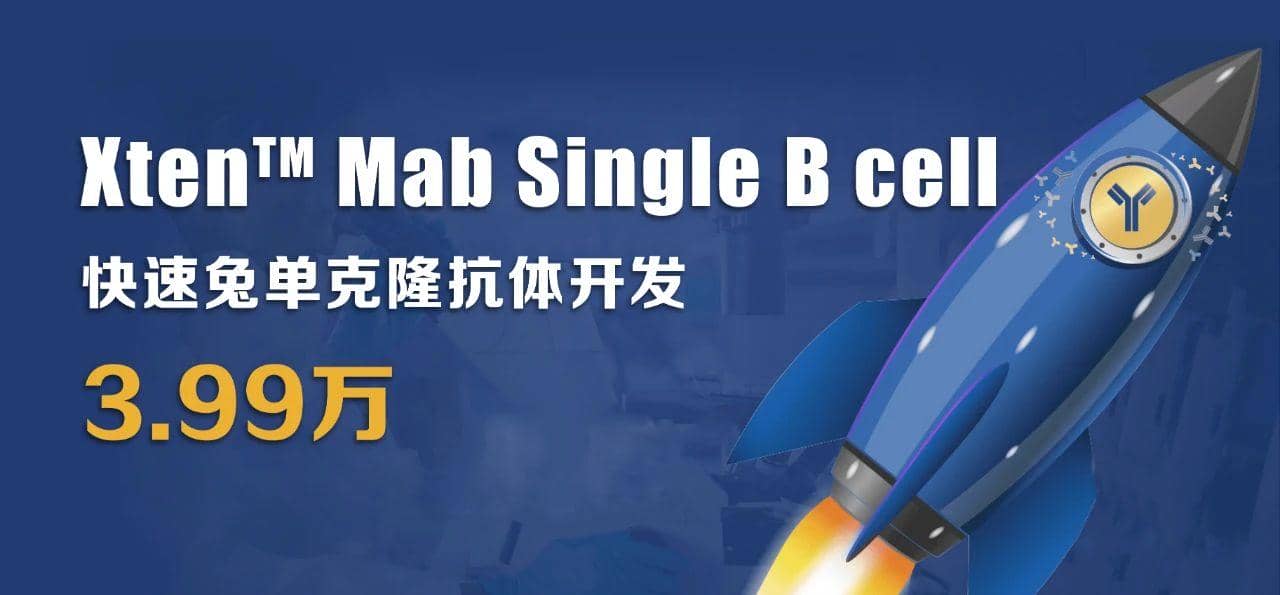 利用兔單B細(xì)胞技術(shù)制備高親和力、多種表位的抗獨(dú)特型單克隆抗體