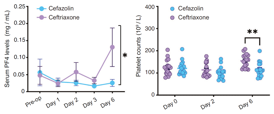 Ceftriaxone抑制C3上調(diào)、維持PF4水平，發(fā)揮認(rèn)知保護(hù)作用